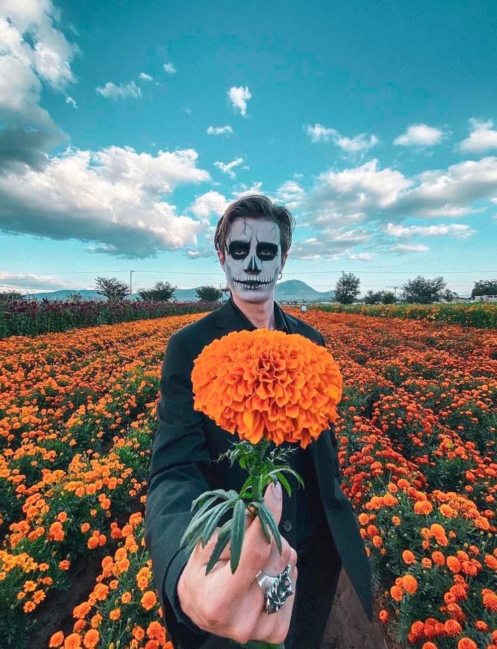 Cosechando la Ofrenda, Fiesta en el Camposanto
